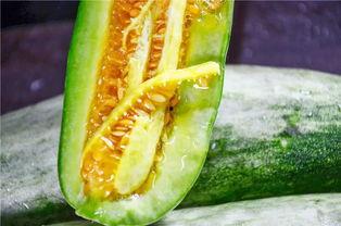 吃网红瓜,那些你不知道的“吃瓜”故事 第2张 吃网红瓜,那些你不知道的“吃瓜”故事 第2张