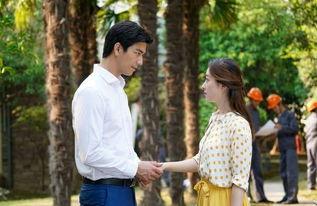 风光大嫁电视剧全集在线观看,浪漫爱情故事,甜蜜人生篇章 第2张 风光大嫁电视剧全集在线观看,浪漫爱情故事,甜蜜人生篇章 第2张